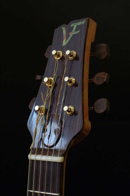 chitarra-12-paletta-ruotata.jpg